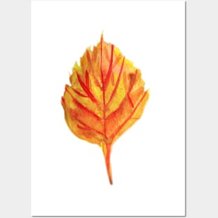 Autumn Leaf Posters and Art